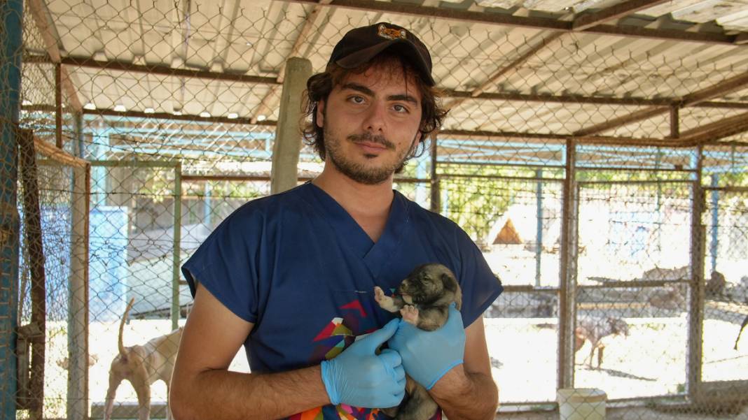 Uçurumda mahsur kalan köpekler için ekipler harekete geçti: 5 yavrusuyla tedavi altında 2